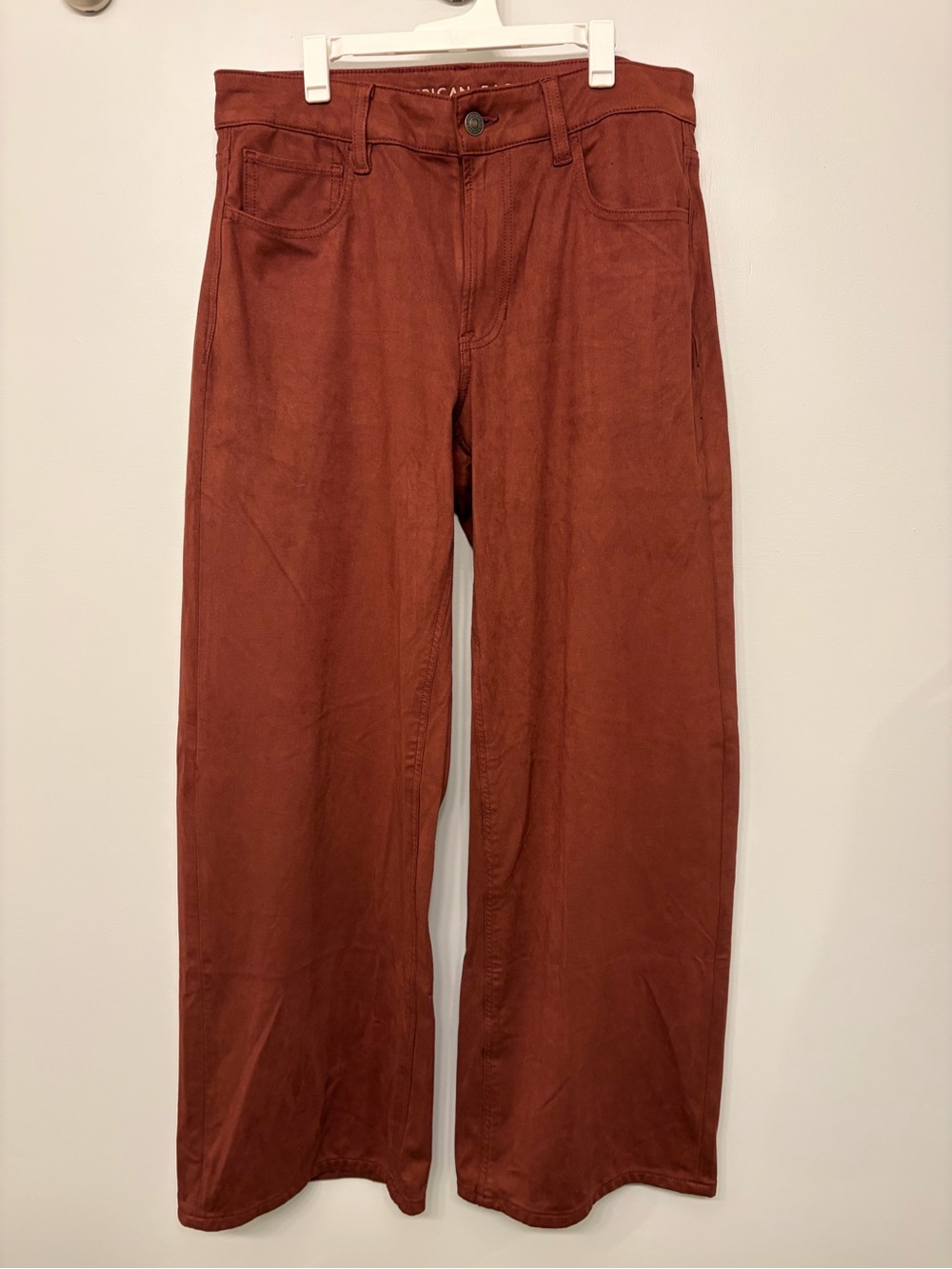 American Eagle Wide-Leg Pants in Rust